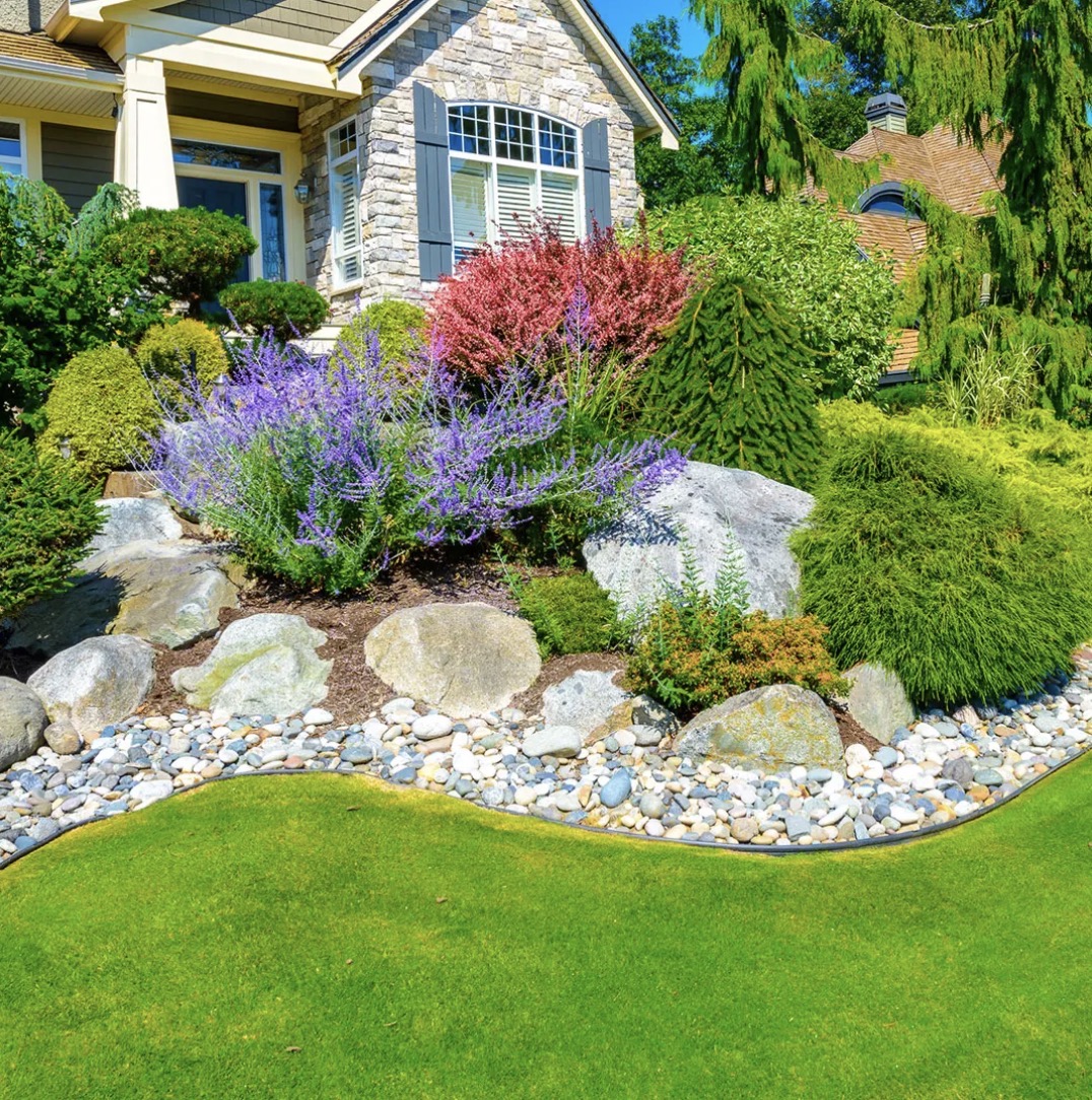 Finished landscaped yard with lawn, shrubs and decorative rock